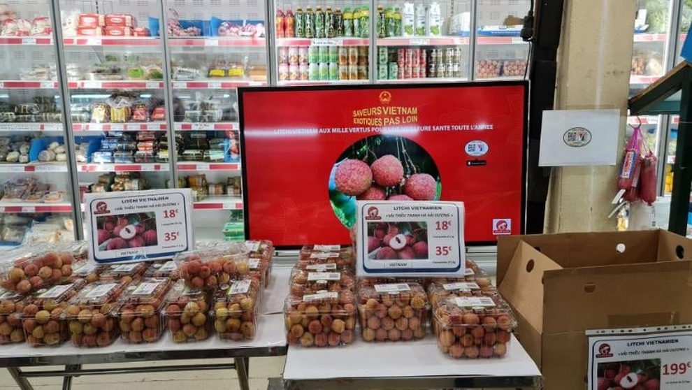 Vải thiều Thanh Hà bán chạy tại Pháp, giá 500.000 đồng/kg - 1 Vải thiều Thanh Hà bán chạy tại Pháp, giá 500.000 đồng/kg - 1