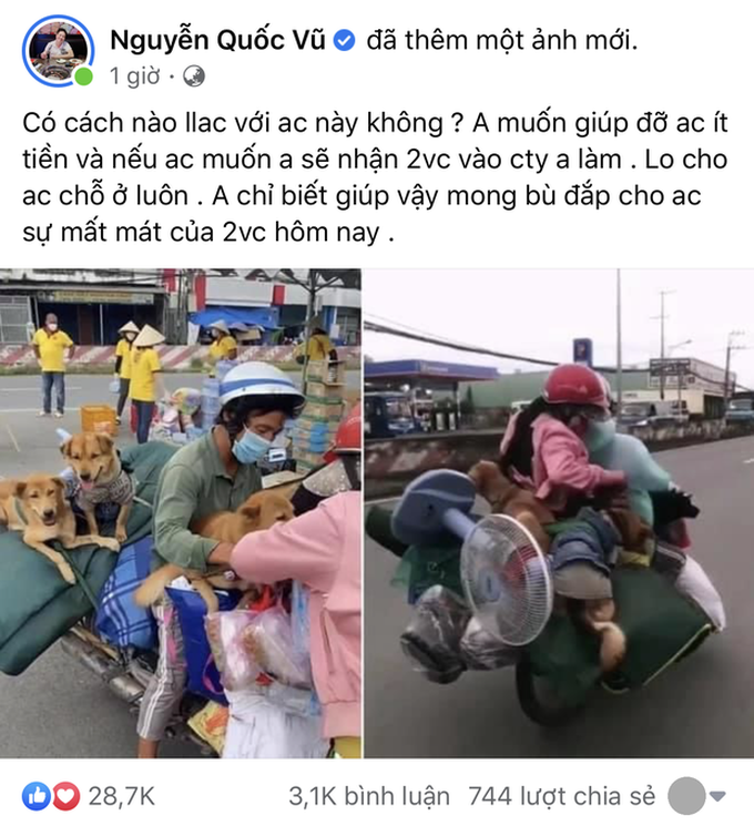Sau thông tin đàn chó bị tiêu huỷ được chia sẻ rầm rộ trên mạng xã hội, có một “đại gia” tên Vũ ở quận 7, TP.HCM hỗ trợ chủ của đàn chó bị tiêu hủy 50 triệu đồng và lời hứa nhận vào làm việc sau khi người này điều trị xong Covid-19. 