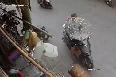 Thanh niên sành điệu đi xe ga, trộm chuồng chó khiến cộng đồng mạng bức xúc