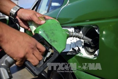 Sản xuất thành công nhiên liệu sinh học rẻ nhất thế giới