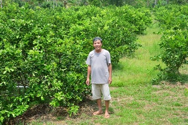 Vụ con liệt sĩ mất đất sau bản án của Toà: Người dân địa phương nói gì?