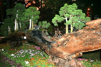 Hội hoa Xuân Tân Mão đạt lượng khách tham quan kỷ lục