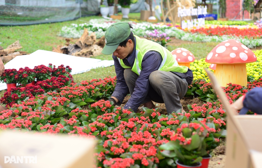 Đà Lạt tràn ngập sắc màu trước thềm Festival hoa - 2 Đà Lạt tràn ngập sắc màu trước thềm Festival hoa - 2