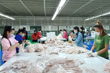 Đầu năm, tuyển hàng nghìn lao động chỉ cần biết đọc, viết, lương tạm ổn