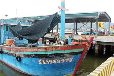 Nghệ An: Nợ xấu từ vay vốn đóng tàu theo Nghị định 67 lên tới 156 tỉ đồng