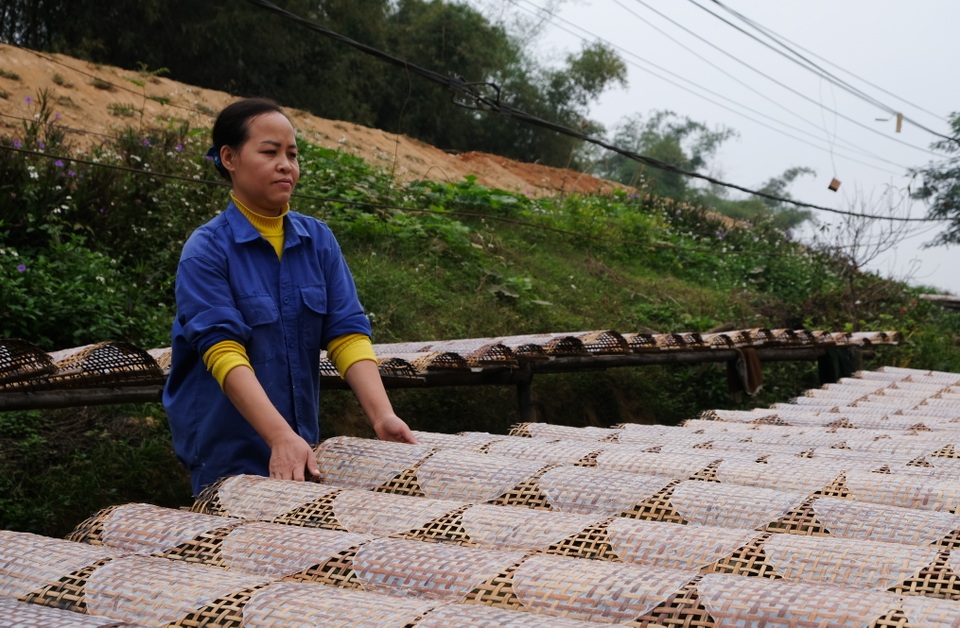 Nhộn nhịp làng bánh đa nem nổi tiếng xứ Thanh ngày cận Tết - 2 Nhộn nhịp làng bánh đa nem nổi tiếng xứ Thanh ngày cận Tết - 2