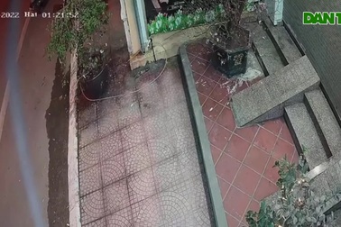 Nhóm trộm mang đồ nghề nhổ cây cảnh trong đêm tối