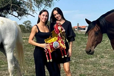 Ông Tây khoe ngựa "vàng mã" được gửi tặng từ Việt Nam