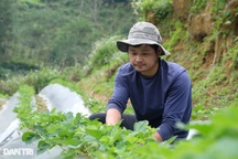 Đốc thúc thực hiện chương trình giảm nghèo bền vững