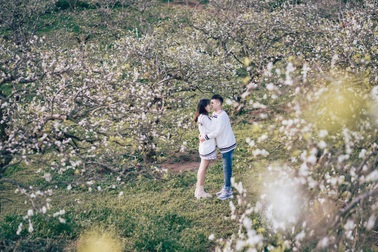 "Đẹp quên lối" mùa hoa mận nở trắng trời cao nguyên Mộc Châu