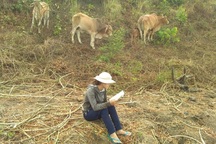 Học sinh vùng khó vừa chăn bò vừa dò sóng học online trong mùa Covid-19