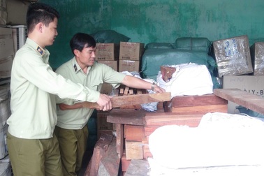 Bắt gần 2 tấn gỗ hương, trắc không giấy tờ
