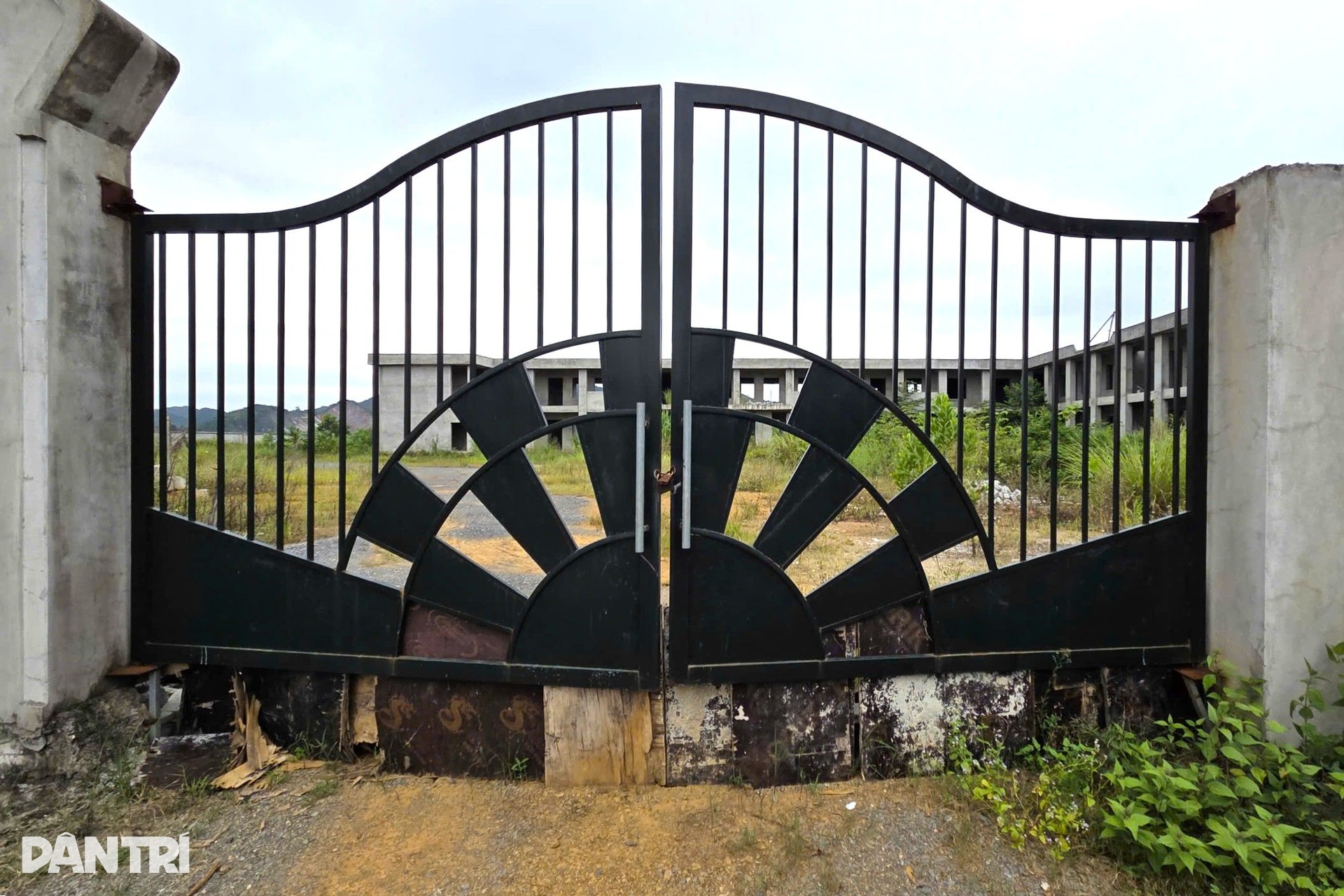 Dự án trường mầm non gần 30 tỷ đồng ở Thanh Hóa dang dở, cỏ dại mọc um tùm - 11