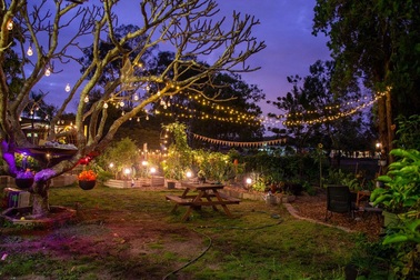 Người phụ nữ ở Úc làm vườn bội thu rau trái sạch mỗi ngày