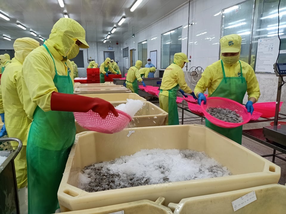 Từ 1/1/2021: 6 chính sách mới về thời giờ làm việc và nghỉ ngơi có hiệu lực - 9 Từ 1/1/2021: 6 chính sách mới về thời giờ làm việc và nghỉ ngơi có hiệu lực - 9