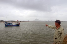 Hàng trăm ngư dân Phú Yên vươn khơi đón Tết trên biển