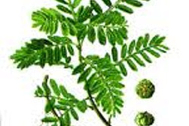 Cách nào giảm tác hại của bia rượu đối với gan?