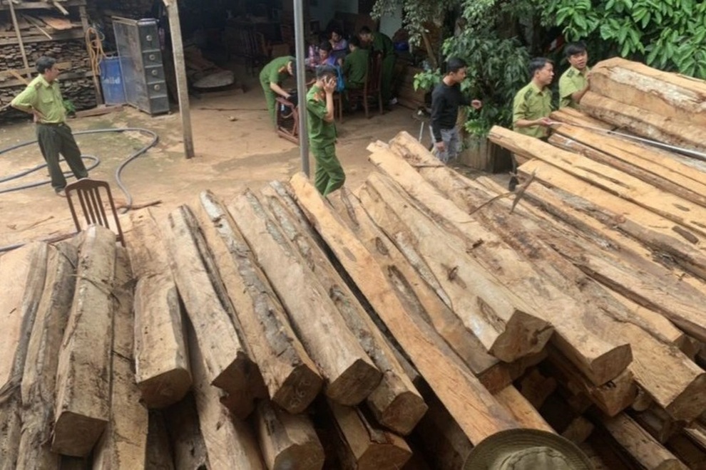 Truy tố nhóm đối tượng trong đường dây mua bán gỗ lậu khủng tại Gia Lai - 1 Truy tố nhóm đối tượng trong đường dây mua bán gỗ lậu khủng tại Gia Lai - 1