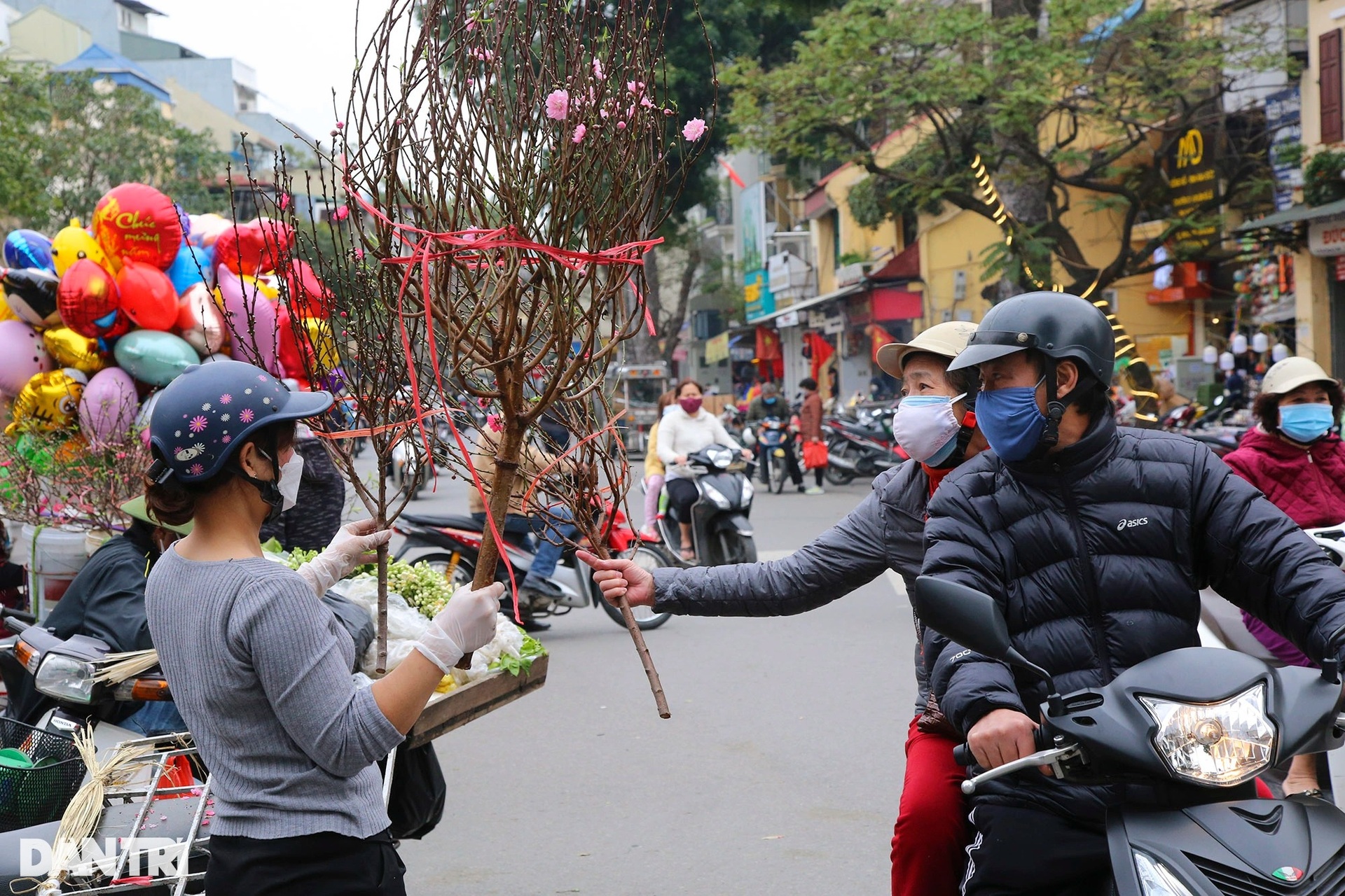Đào cuối vụ ở Hà Nội đắt khách dịp rằm tháng Giêng - 13 Đào cuối vụ ở Hà Nội đắt khách dịp rằm tháng Giêng - 13