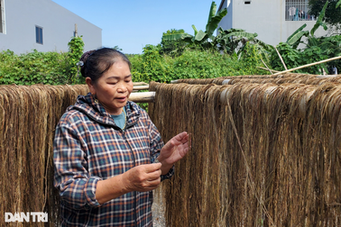 Cây làm giàu khiến nông dân như "ngồi trên đống lửa"