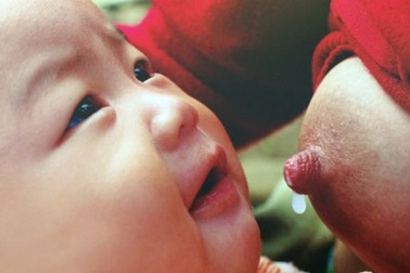 Sữa mẹ cứu sống 1,3 triệu trẻ mỗi năm