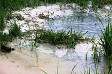 Doanh nghiệp chế tác đá “giết” lúa nông dân