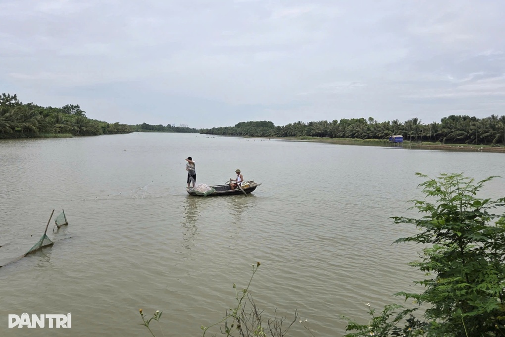 Chủ đầm tôm lo trắng tay lần thứ 2 trong năm vì bão Bualoi sắp đổ bộ - 3 Chủ đầm tôm lo trắng tay lần thứ 2 trong năm vì bão Bualoi sắp đổ bộ - 3