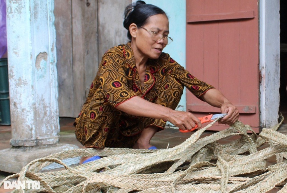 Nhọc nhằn nghề đan quại cói mưu sinh - 5 Nhọc nhằn nghề đan quại cói mưu sinh - 5
