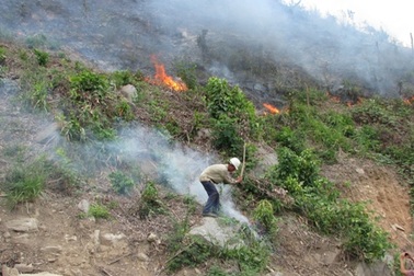 Đà Nẵng: Liên tiếp xảy ra cháy rừng