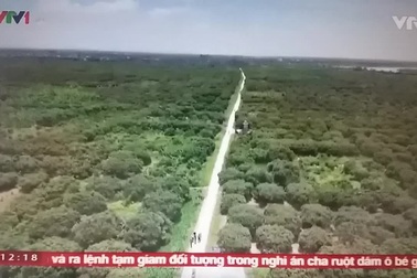 Nở rộ dịch vụ “ăn theo” mùa vải