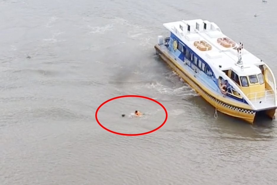 Nhân viên tàu buýt đường thủy cứu người phụ nữ nhảy sông Sài Gòn - 1