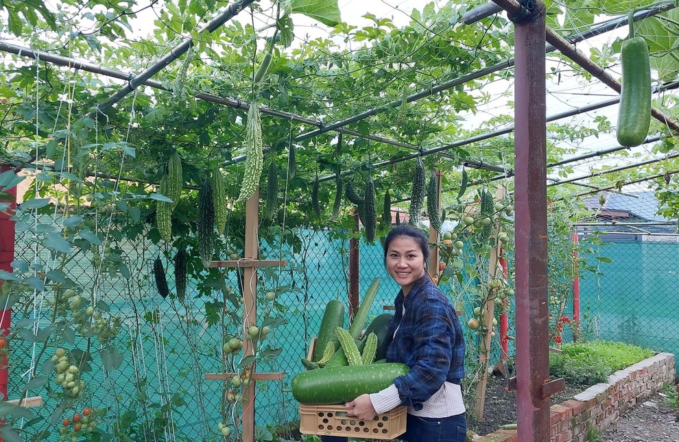 Cải tạo đất toàn sỏi đá, ông bố gốc Việt có vườn toàn trái khủng ở Séc - 13