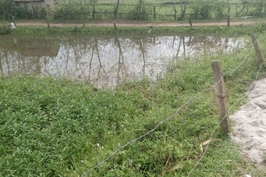 Vướng dây điện khi đi bắt cá, hai người tử vong