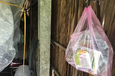 Rau sạch, giấc mơ thị thành: Ăn rau gì không sợ thuốc?