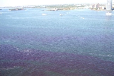 “Thủy triều đỏ” xuất hiện tại bến cảng New York