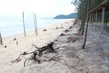 Bờ biển sạt lở nặng sau cơn bão số 5