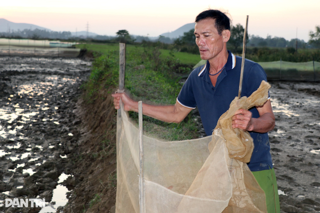 Nông dân rào ruộng, đỏ mắt trông trăng, chờ đất mọc lộc - 3 Nông dân rào ruộng, đỏ mắt trông trăng, chờ đất mọc lộc - 3