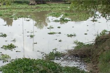 Máy chân vịt chém chết người trên sông