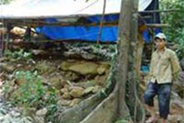 Kiến nghị đánh sập các hầm vàng Khe Đương