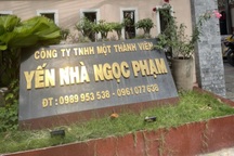 Yến nhà Ngọc Phạm luôn đồng hành cùng sức khỏe của cả gia đình bạn