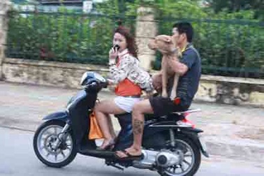 “1001” kiểu vi phạm giao thông