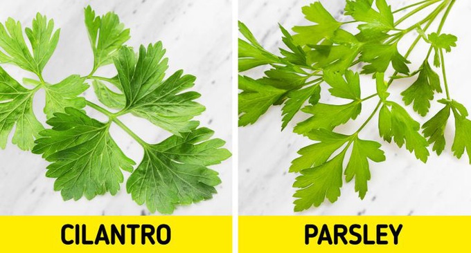 12 loại thực phẩm thường xuyên khiến người khác nhầm lẫn tai hại, chỉ nhìn vẻ ngoài thì đố ai phân biệt được - Ảnh 8. 12 loại thực phẩm thường xuyên khiến người khác nhầm lẫn tai hại, chỉ nhìn vẻ ngoài thì đố ai phân biệt được - Ảnh 8.