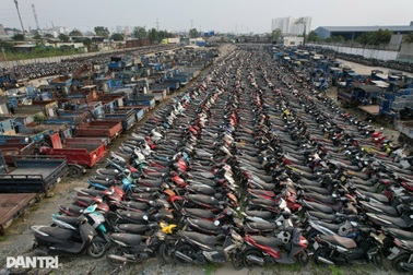 “Cần lộ trình từng bước để tiến tới cấm hoàn toàn xe xăng”