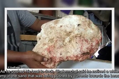 Ngư dân vô tình nhặt được "khối chất nôn" nặng 7kg đáng giá cả gia tài