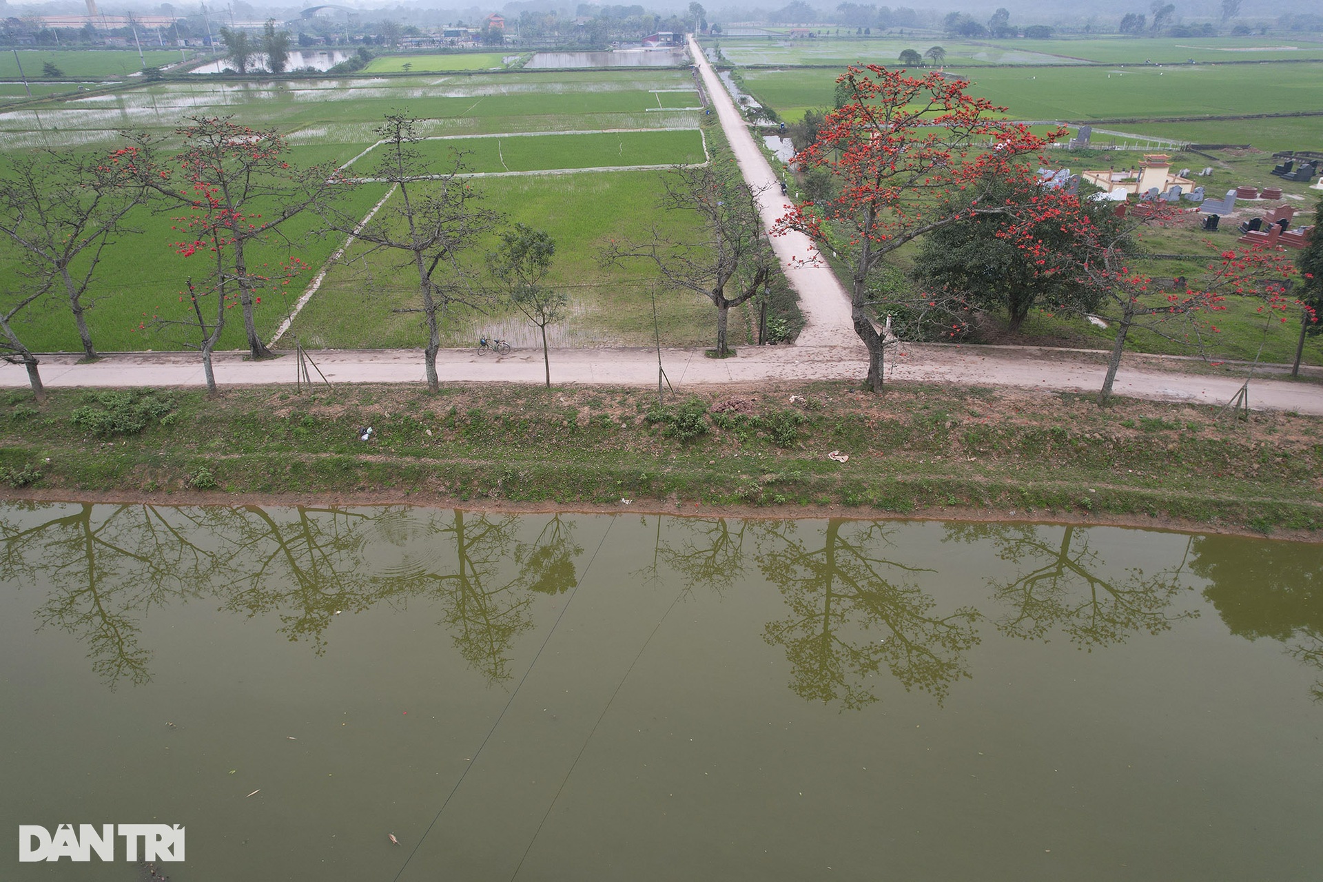Hà Nội mùa hoa gạo nở trong sương mờ trắng - 12 Hà Nội mùa hoa gạo nở trong sương mờ trắng - 12