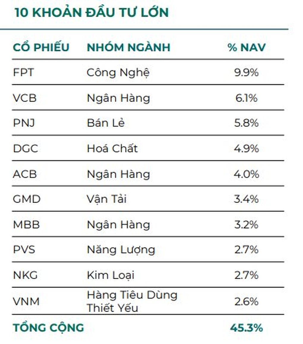 Một quỹ thuộc Dragon Capital công bố hiệu suất cao gấp đôi chỉ số VN-Index - 2 Một quỹ thuộc Dragon Capital công bố hiệu suất cao gấp đôi chỉ số VN-Index - 2