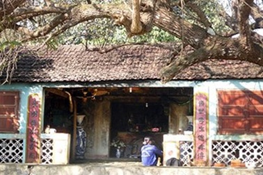 Huyền bí ngôi chùa có báu vật nằm trong tổ mối