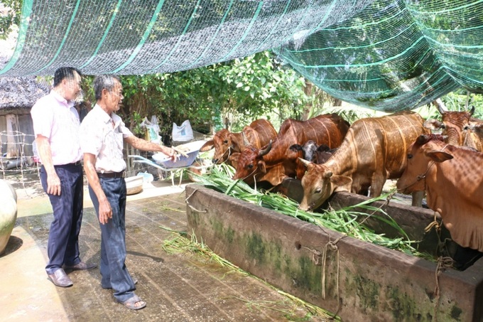 Mô hình nuôi bà thịt góp phần giảm nghèo bền vững.