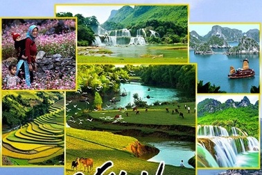 Tiền ký quỹ kinh doanh dịch vụ lữ hành giảm mạnh đến hết năm 2023