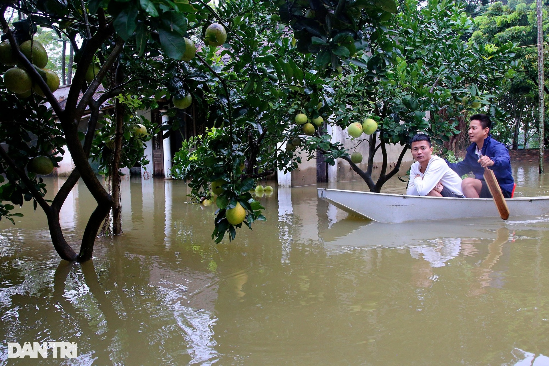 Nhiều thôn xóm ngoại thành Hà Nội ngập sâu trong nước - 9
